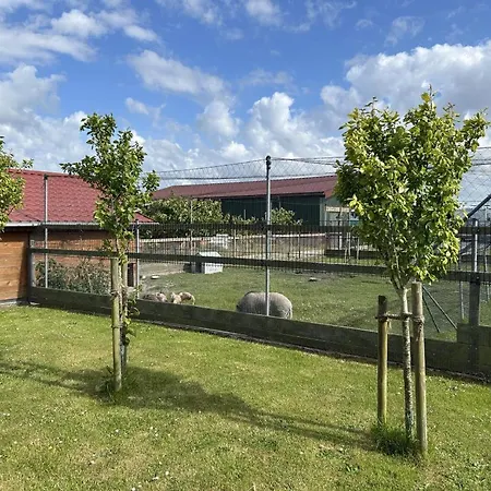 Prázdninový dům Neu! Assing Am Deich Neßmersiel