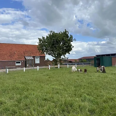 Neu! Assing Am Deich Prázdninový dům *