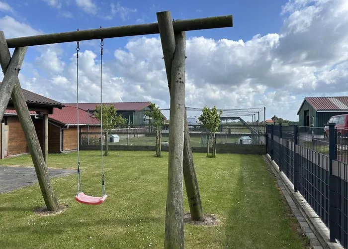 Neu! Assing Am Deich *