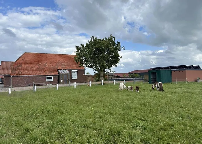 Neu! Assing Am Deich Tatil Evi *