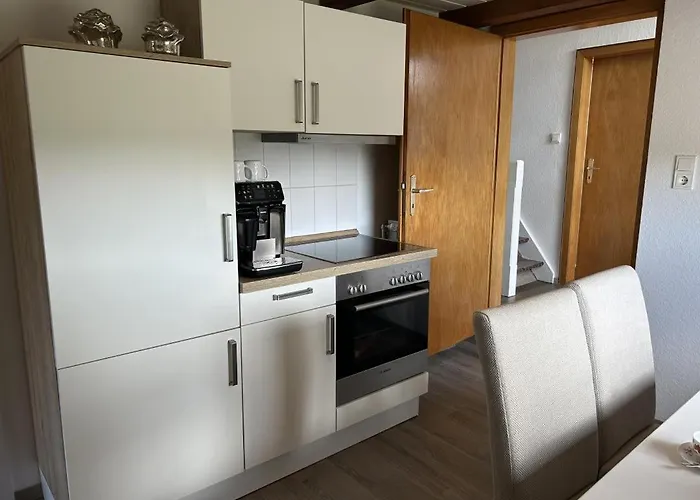 Neu! Assing Am Deich