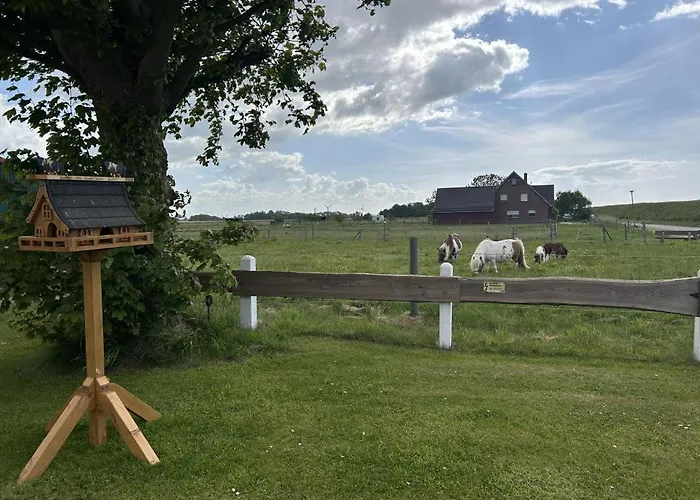 Tatil Evi Neu! Assing Am Deich