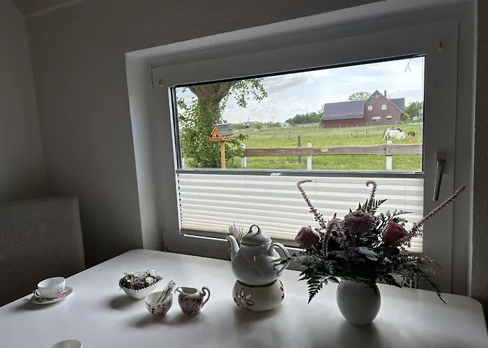 Tatil Evi Neu! Assing Am Deich *